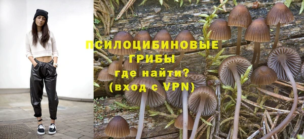 круглые Арсеньев