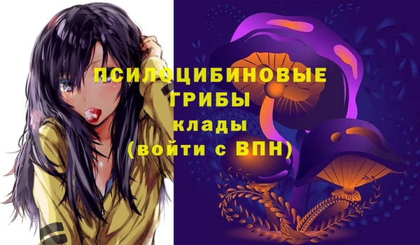 круглые Арсеньев