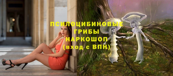 круглые Арсеньев