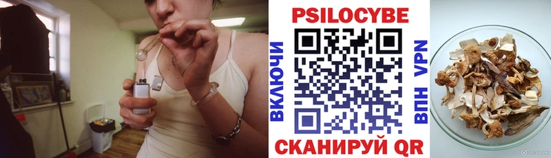 купить наркоту  Таштагол  Галлюциногенные грибы GOLDEN TEACHER 